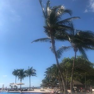 Meet your Posher, Chun